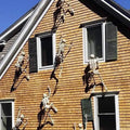 Squelette mobile d'Halloween